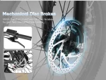 CY20 250W Portable Folding E-Bike