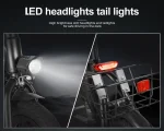 SM-C01 250W Foldable Electric Scooter