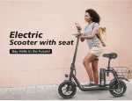 SM-C01 250W Foldable Electric Scooter