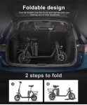 SM-C01 250W Foldable Electric Scooter
