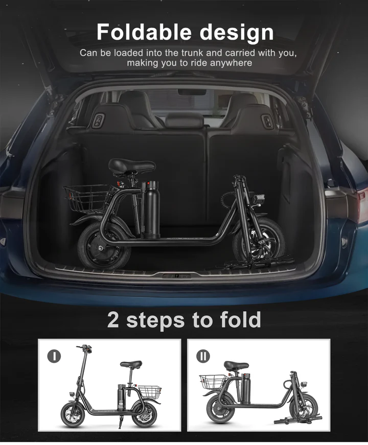 SM-C01 250W Foldable Electric Scooter