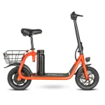SM-C01 250W Foldable Electric Scooter