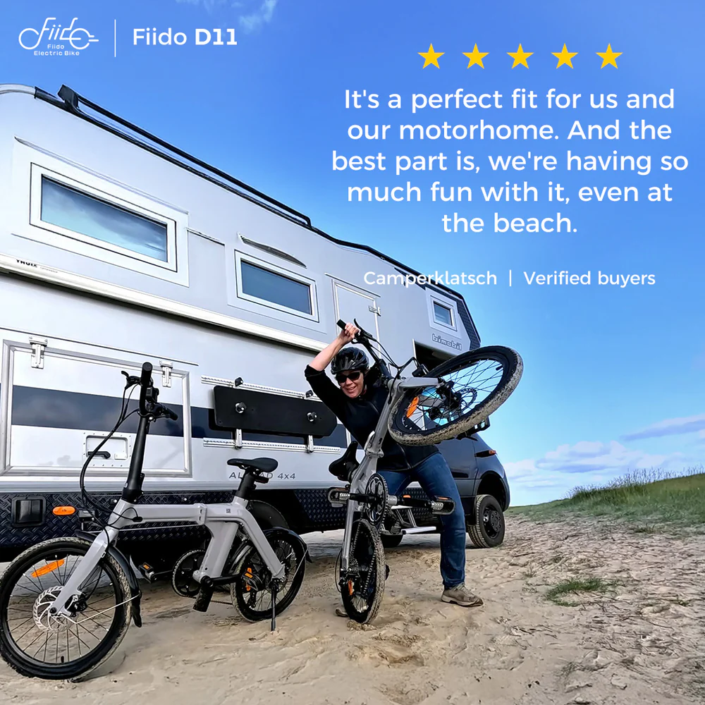 Fiido D11 Folding E-bike