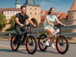 LO26 Plus Fat Tire Mountain E-Bike