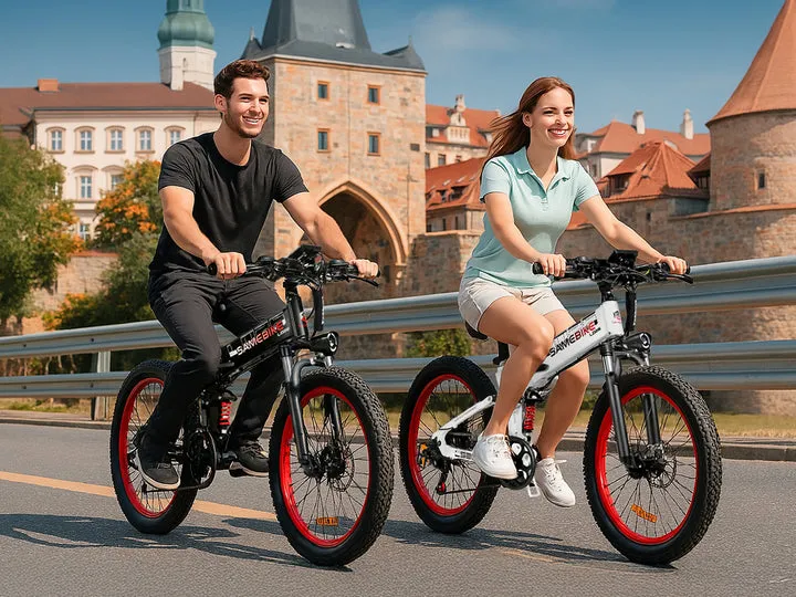 LO26 Plus Fat Tire Mountain E-Bike