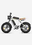 Engwe M20 Double battery