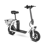 SM-C01 250W Foldable Electric Scooter