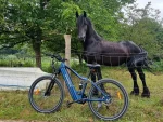 XD26-II Urban Commuting E-Bike