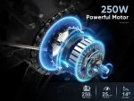 20LVXD30-II 250W Folding Electric Bike