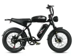 M20-III High-Torque Electric Bicycle