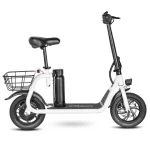 SM-C01 250W Foldable Electric Scooter