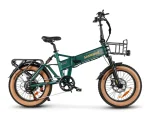 XWLX09-II 1000W Fat Tire Mountain Ebike
