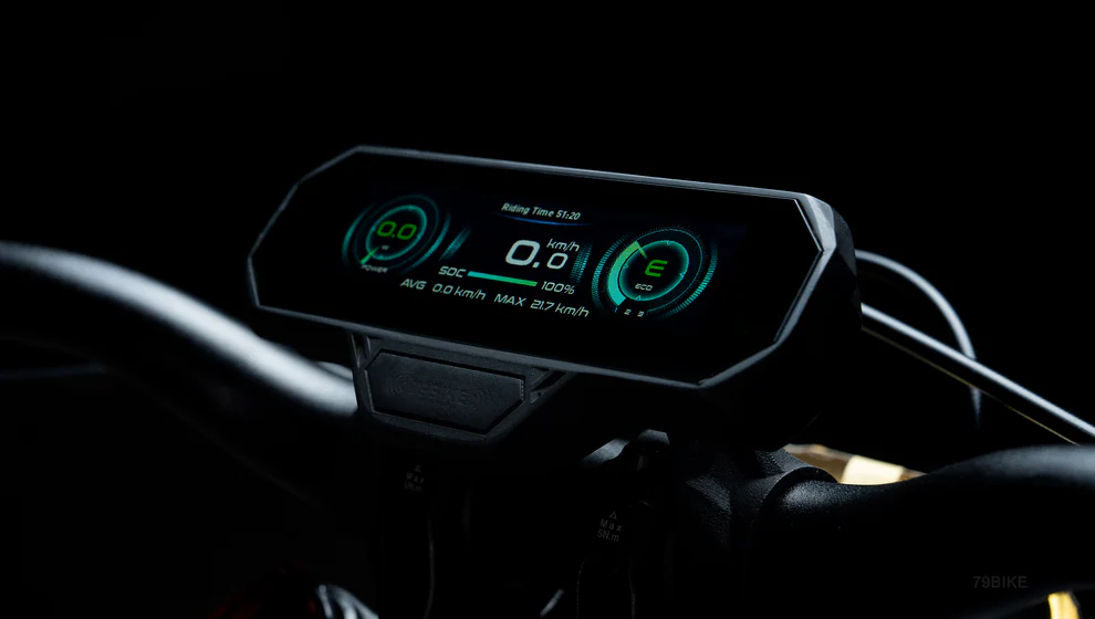 79BIKE-Falcon Pro