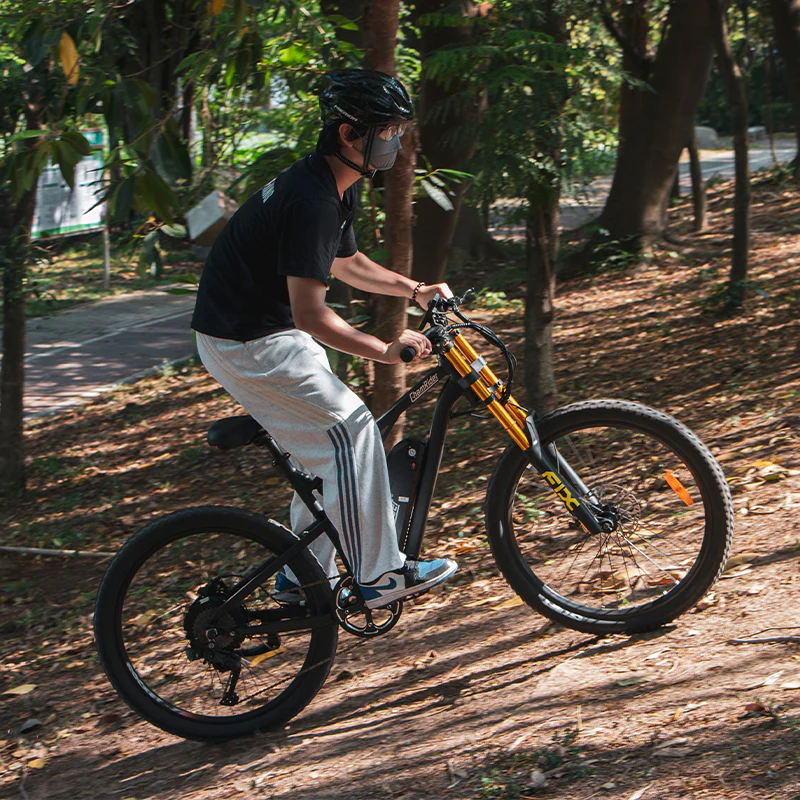 ChamRider DH420 E-Bike