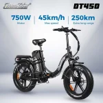 ChamRider DT450 Ebike