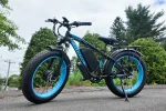 Vitilan H5 Dual Motor Fat Tire Electric Bike