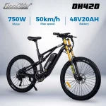 ChamRider DH420 E-Bike