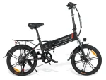 20LVXD30-II 250W Folding Electric Bike