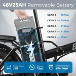 ChamRider DTS425 Ebike