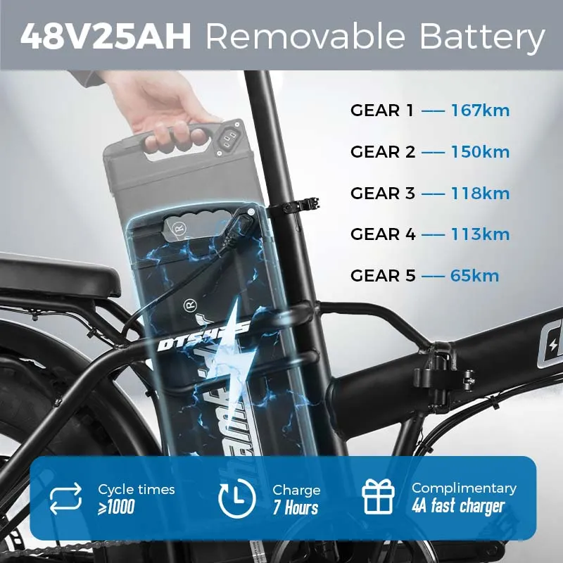 ChamRider DTS425 Ebike