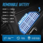 ChamRider DM427 E-bike