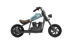 Challenger 12