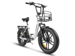 C05 Pro Step-through Folding E-Bike