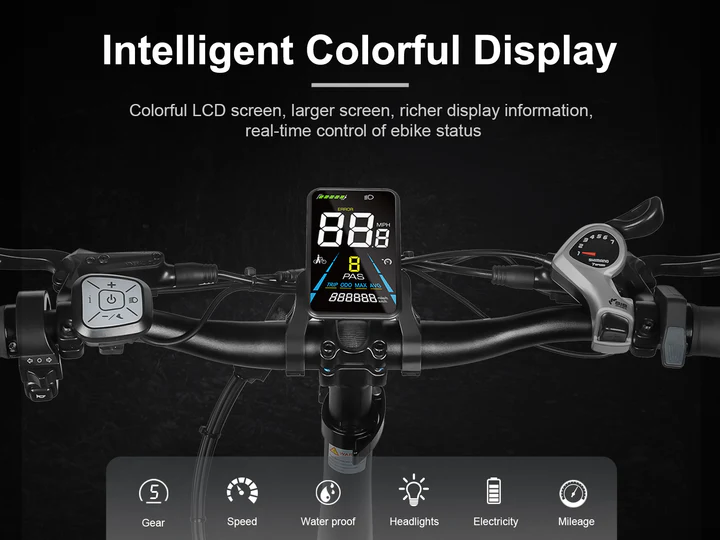 XWLX09-II 1000W Fat Tire Mountain Ebike