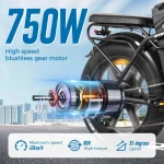 ChamRider DTS425 Ebike