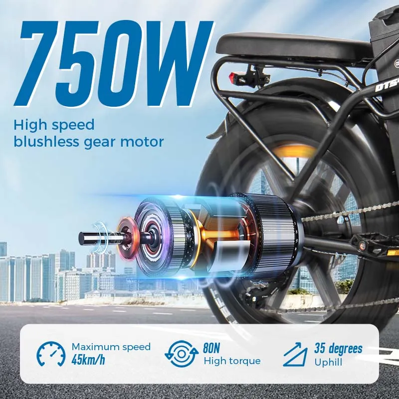 ChamRider DTS425 Ebike