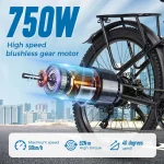 ChamRider DM427 E-bike