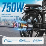 ChamRider DT450 Dual Battery