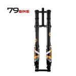 79BIKE-Falcon Pro