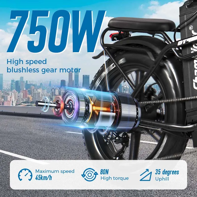 ChamRider DT450 Ebike