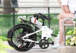20LVXD30-II 250W Folding Electric Bike