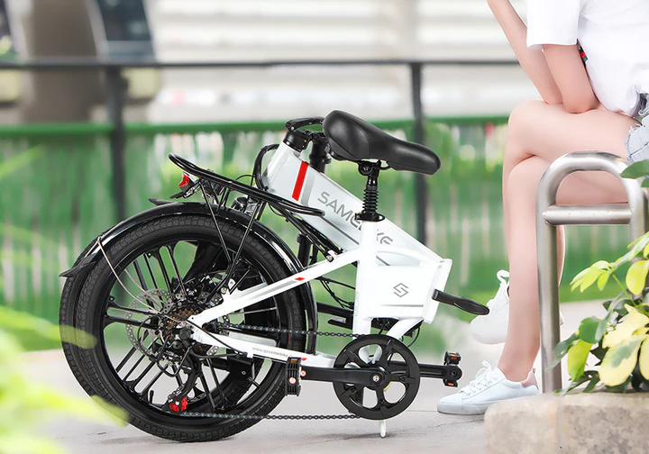 20LVXD30-II 250W Folding Electric Bike