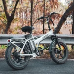 ChamRider DTS425 Ebike