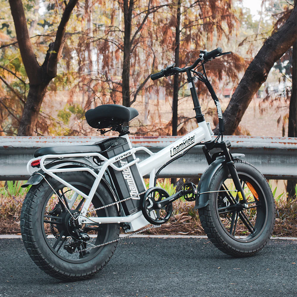 ChamRider DTS425 Ebike