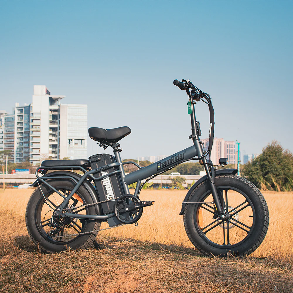 ChamRider DTS425 Ebike