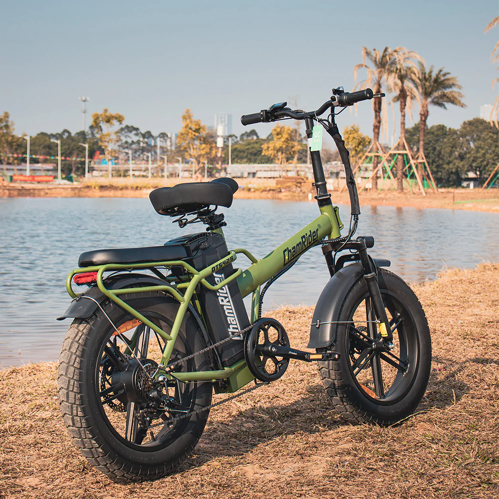 ChamRider DTS425 Ebike