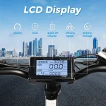 ChamRider DT450 Dual Battery