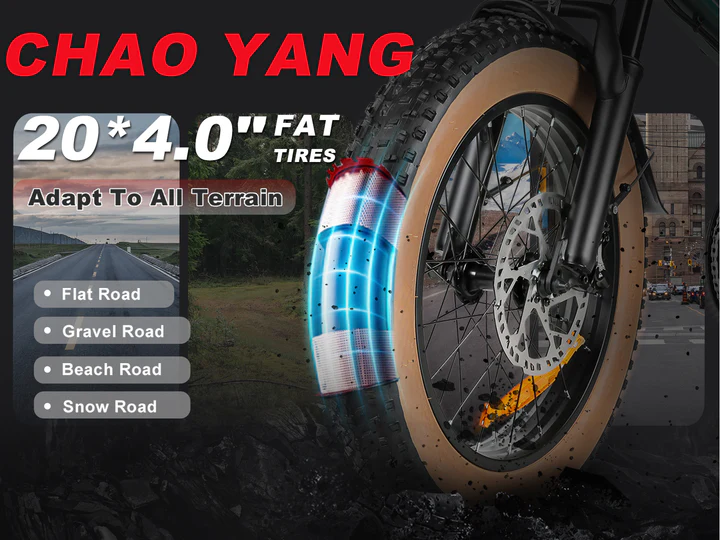 XWLX09-II 1000W Fat Tire Mountain Ebike