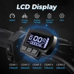 ChamRider DTS425 Ebike