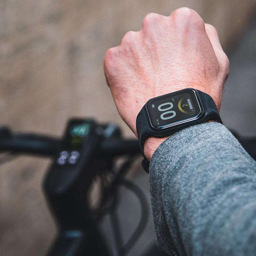 Fiido C21 E-Gravel & City E-Bike