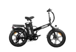 ChamRider DTS425 Ebike