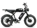 M20-III High-Torque Electric Bicycle