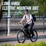 ChamRider DM427 E-bike