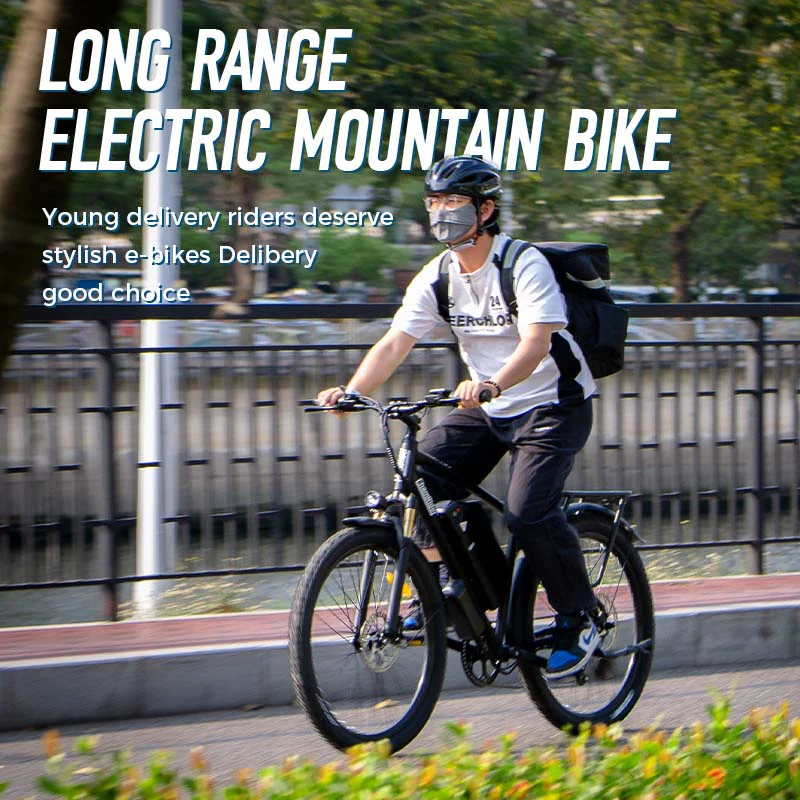 ChamRider DM427 E-bike