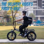 ChamRider DTS425 Ebike