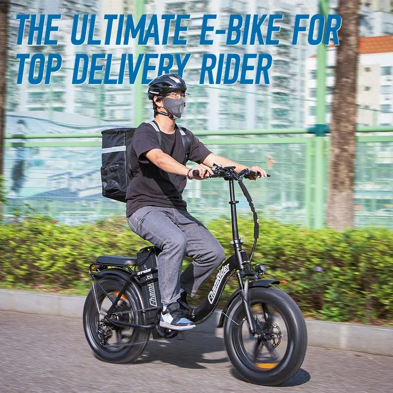 ChamRider DT450 Ebike